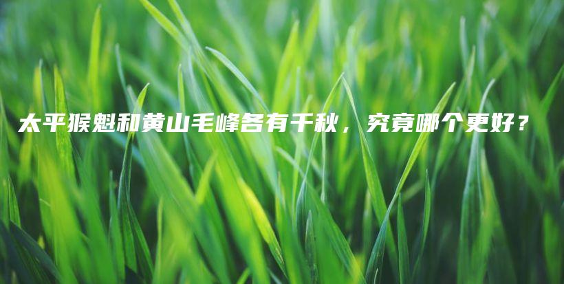 太平猴魁和黄山毛峰各有千秋，究竟哪个更好？插图