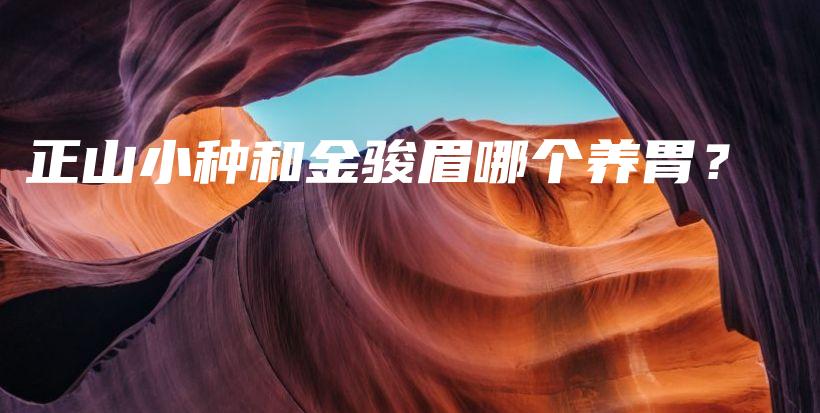 正山小种和金骏眉哪个养胃？插图