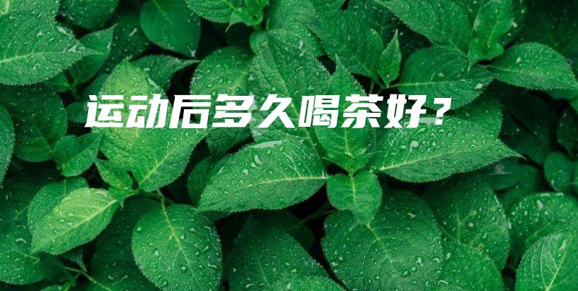运动后多久喝茶好？插图