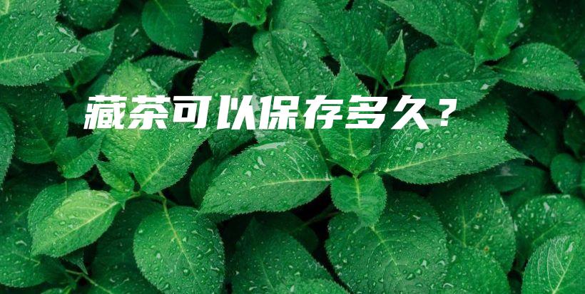 藏茶可以保存多久？插图