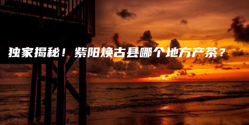 独家揭秘！紫阳焕古县哪个地方产茶？插图