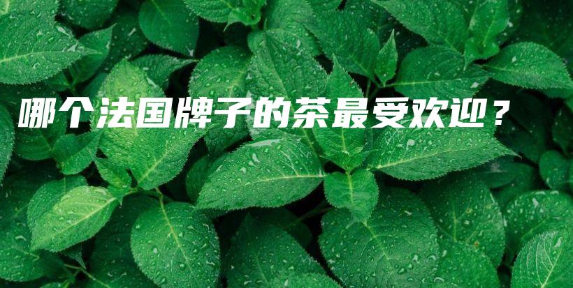 哪个法国牌子的茶最受欢迎？插图