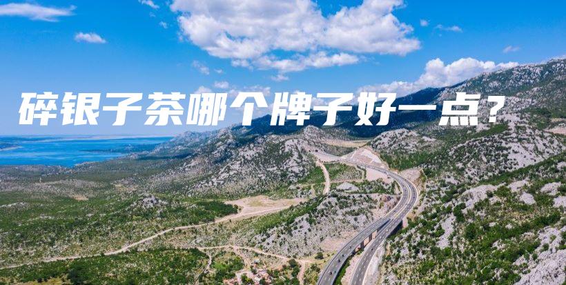 碎银子茶哪个牌子好一点？插图