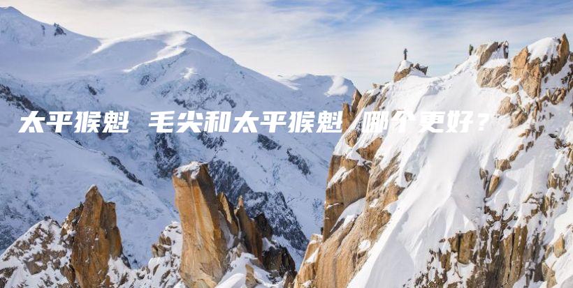 太平猴魁 毛尖和太平猴魁 哪个更好？插图