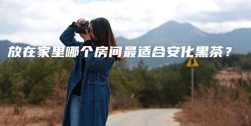 放在家里哪个房间最适合安化黑茶？插图