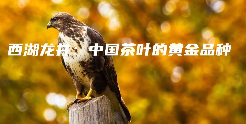 西湖龙井：中国茶叶的黄金品种插图