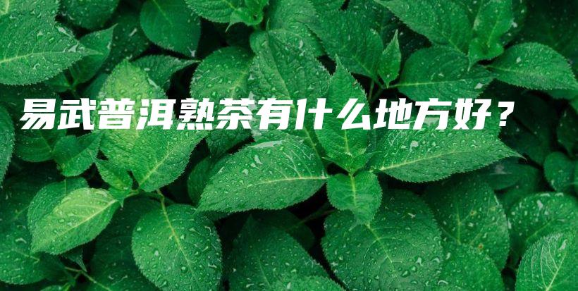 易武普洱熟茶有什么地方好？插图