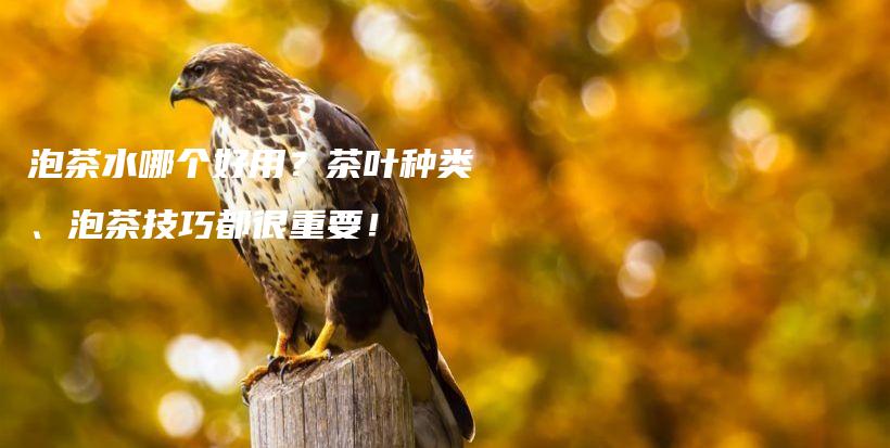 泡茶水哪个好用？茶叶种类、泡茶技巧都很重要！插图