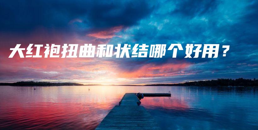 大红袍扭曲和状结哪个好用？插图