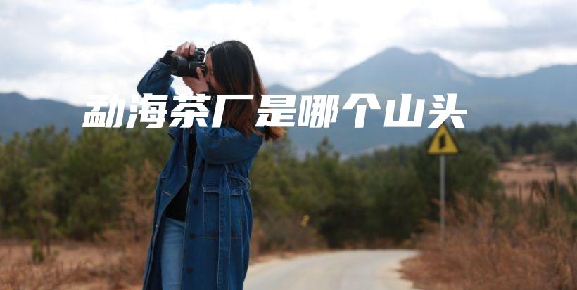 勐海茶厂是哪个山头插图