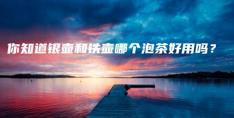你知道银壶和铁壶哪个泡茶好用吗？插图