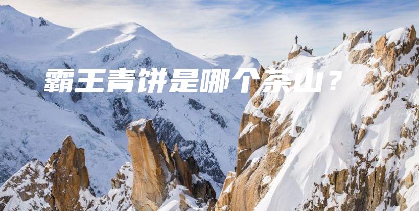 霸王青饼是哪个茶山？插图