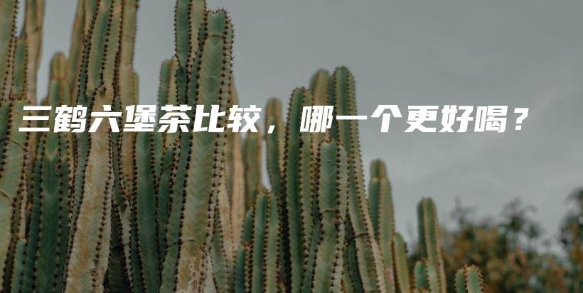 三鹤六堡茶比较，哪一个更好喝？插图