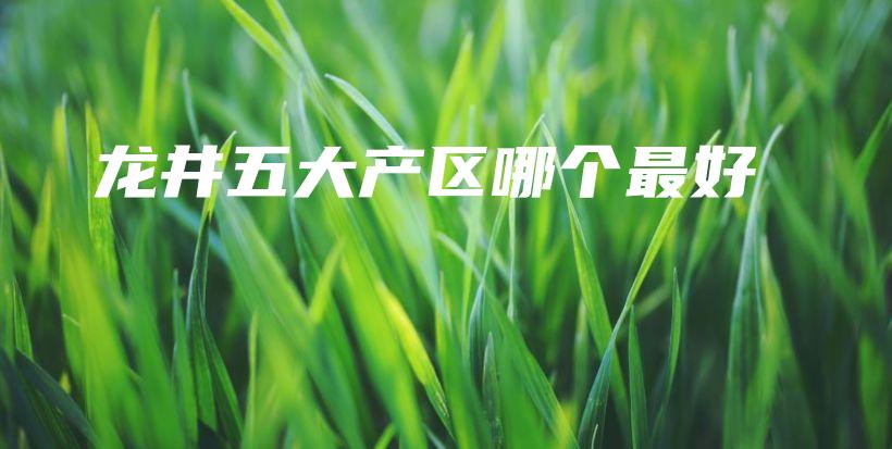 龙井五大产区哪个最好插图