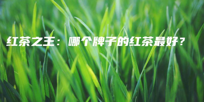 红茶之王:哪个牌子的红茶最好?插图 红茶之王:哪个牌子的红茶最好?插图