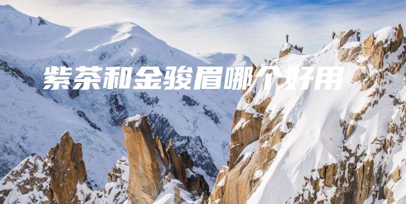 紫茶和金骏眉哪个好用插图
