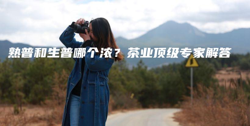 熟普和生普哪个浓？茶业顶级专家解答插图