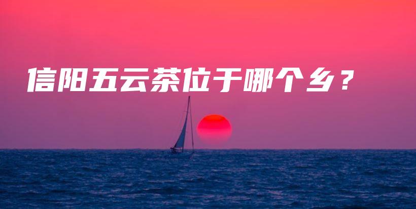 信阳五云茶位于哪个乡？插图