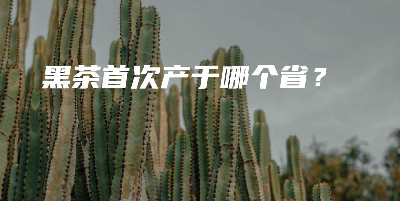 黑茶首次产于哪个省？插图