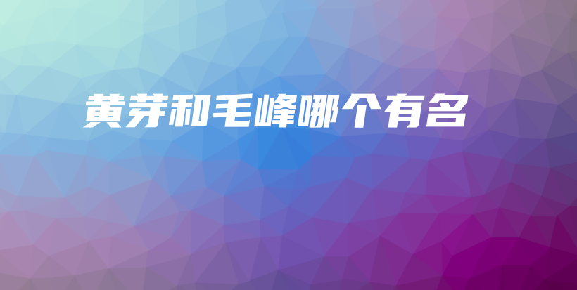 黄芽和毛峰哪个有名插图