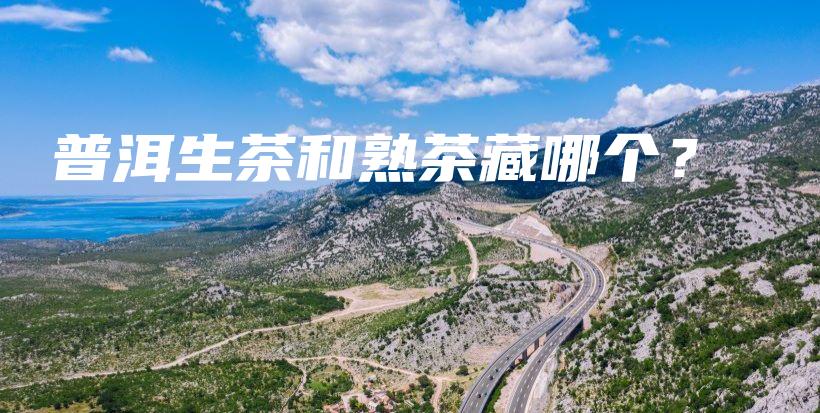 普洱生茶和熟茶藏哪个?插图 普洱生茶和熟茶藏哪个?插图