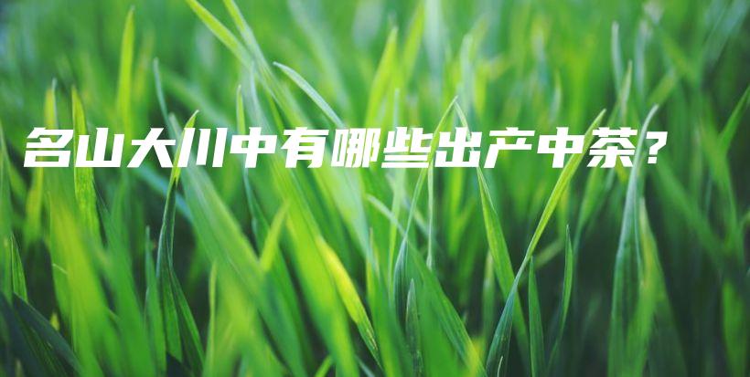 名山大川中有哪些出产中茶？插图