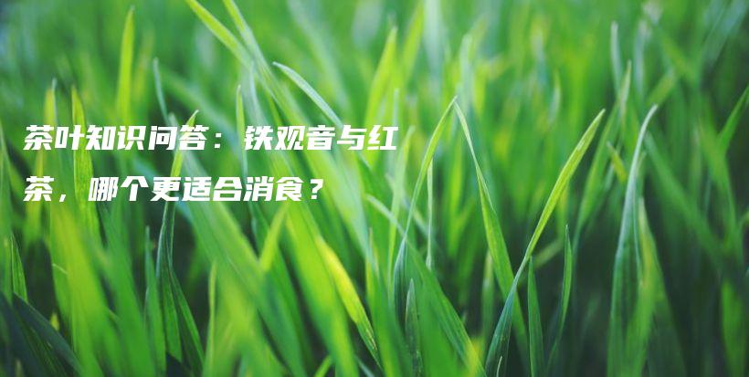 茶叶知识问答：铁观音与红茶，哪个更适合消食？插图