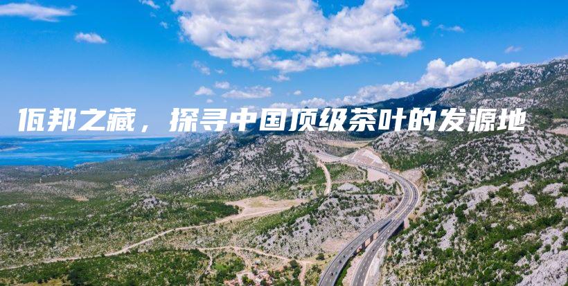 佤邦之藏，探寻中国顶级茶叶的发源地插图