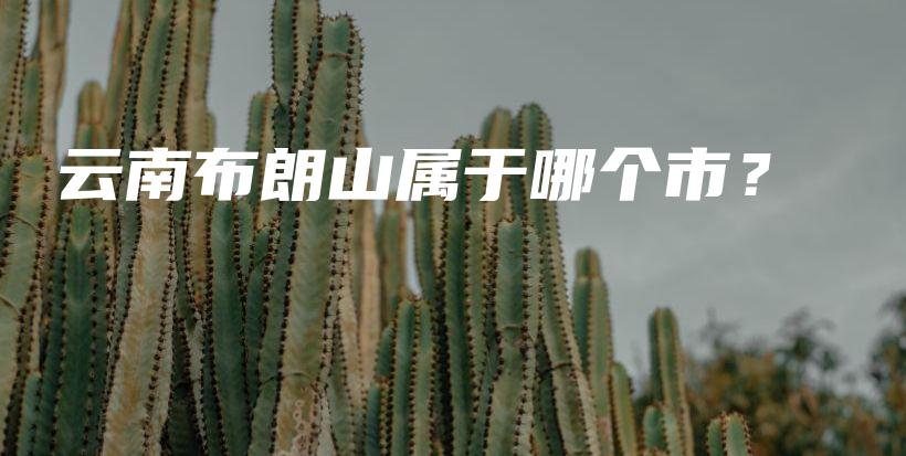 云南布朗山属于哪个市？插图