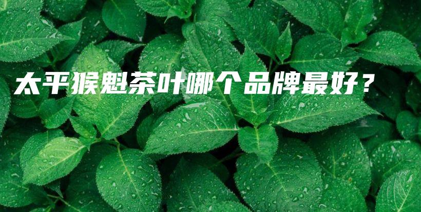 太平猴魁茶叶哪个品牌最好？插图