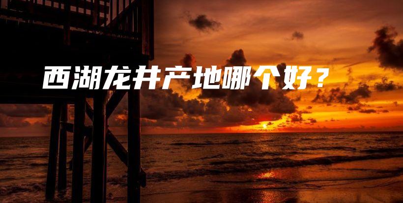 西湖龙井产地哪个好？插图