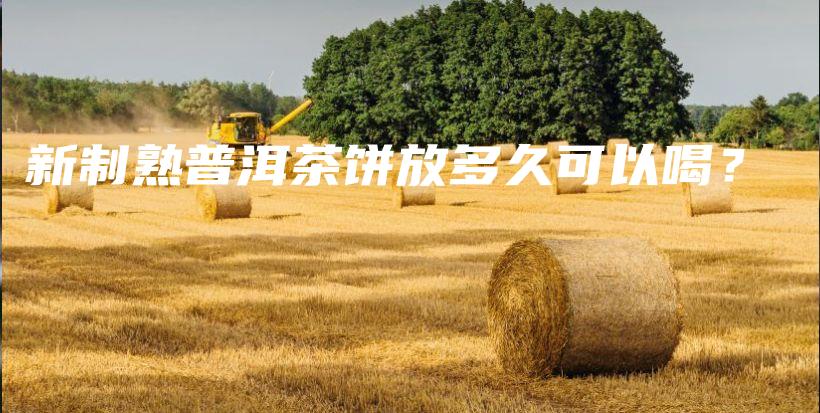 新制熟普洱茶饼放多久可以喝?插图 新制熟普洱茶饼放多久可以喝?插图