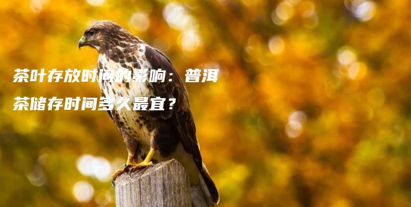 茶叶存放时间的影响：普洱茶储存时间多久最宜？插图