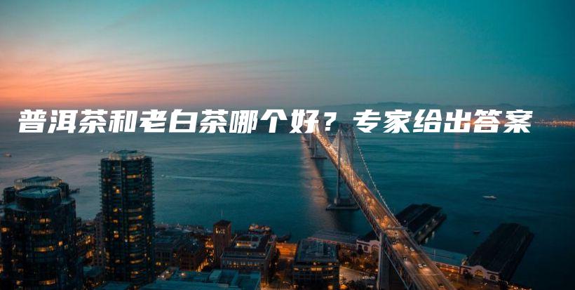 普洱茶和老白茶哪个好？专家给出答案插图