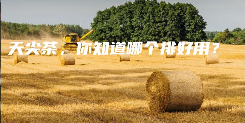 天尖茶，你知道哪个排好用？插图