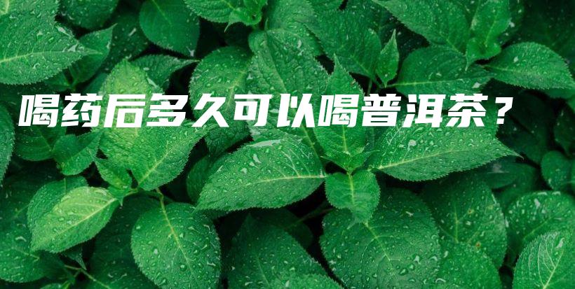 喝药后多久可以喝普洱茶？插图