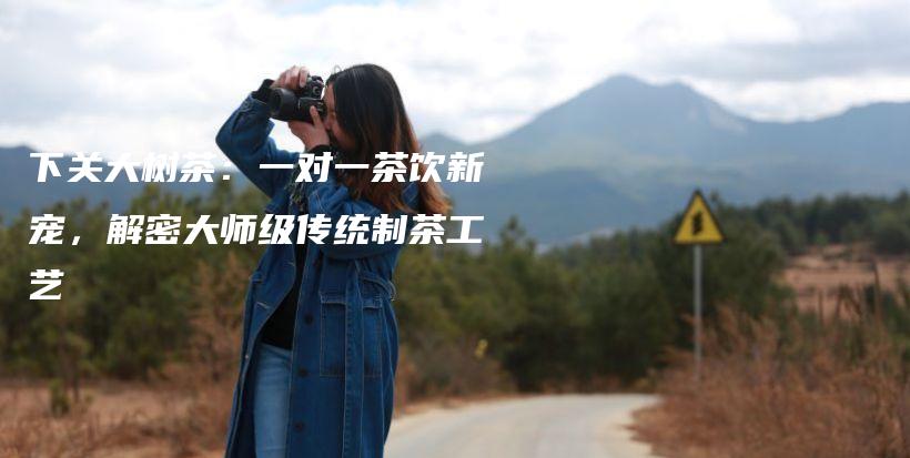 下关大树茶：一对一茶饮新宠，解密大师级传统制茶工艺插图