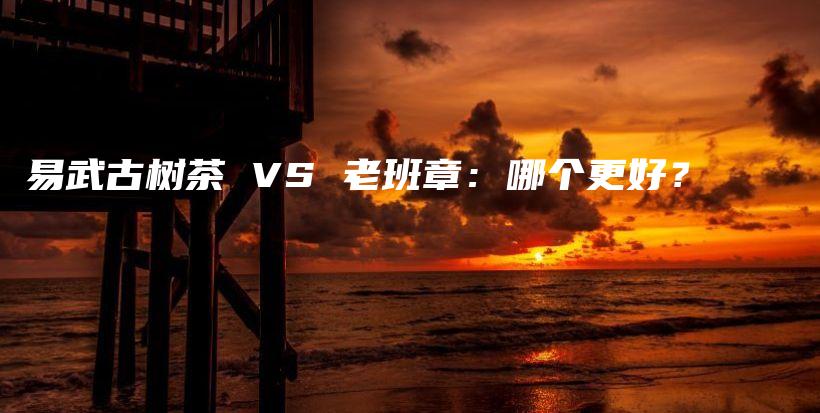 易武古树茶 VS 老班章：哪个更好？插图