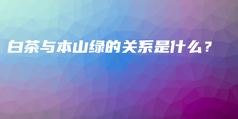 白茶与本山绿的关系是什么？插图