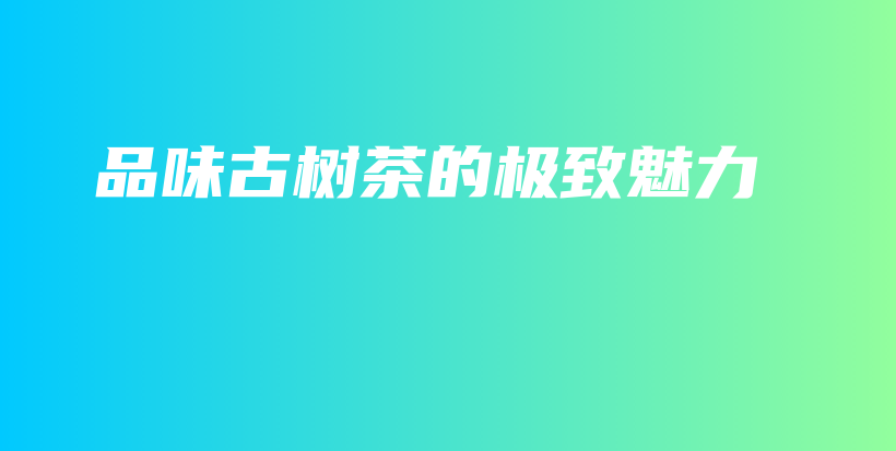 品味古树茶的极致魅力插图 品味古树茶的极致魅力插图