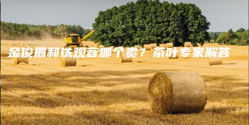 金俊眉和铁观音哪个贵？茶叶专家解答插图