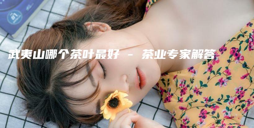 武夷山哪个茶叶最好 – 茶业专家解答插图