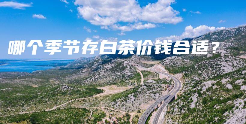哪个季节存白茶价钱合适？插图