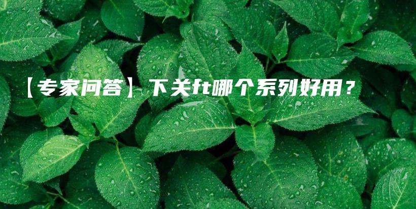 【专家问答】下关ft哪个系列好用？插图