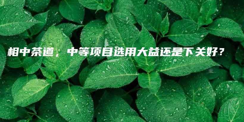 相中茶道，中等项目选用大益还是下关好？插图