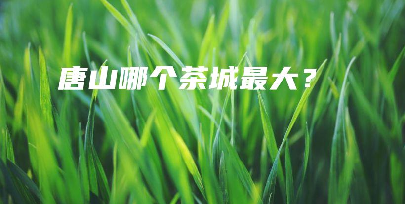 唐山哪个茶城最大？插图