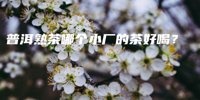 普洱熟茶哪个小厂的茶好喝？插图