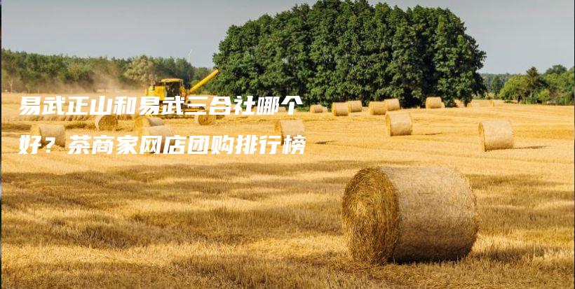 易武正山和易武三合社哪个好？茶商家网店团购排行榜插图