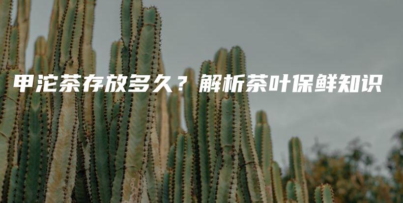 甲沱茶存放多久?解析茶叶保鲜知识插图 甲沱茶存放多久?解析茶叶保鲜知识插图