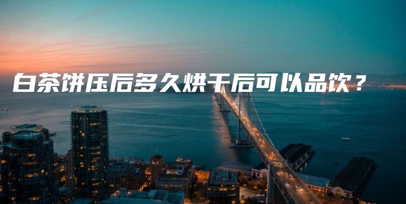 白茶饼压后多久烘干后可以品饮?插图 白茶饼压后多久烘干后可以品饮?插图